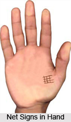 Net  Signs in Hand, Palmistry
