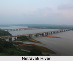 Netravati River, Indian River