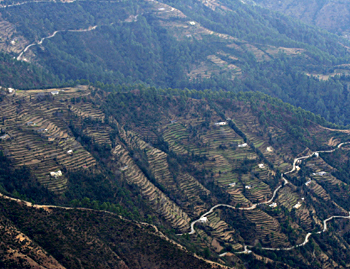 Nilgiri Hills