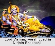 Nirjala Ekadashi, Indian Festival