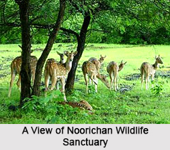 Noorichan Wildlife Sanctuary, Ladakh