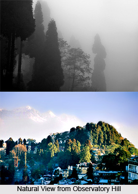 Observatory Hill, Tourist Places in Darjeeling, West Bengal