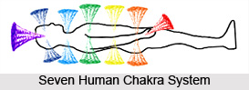 Opening and Developing the Chakras of the Seven Bodies