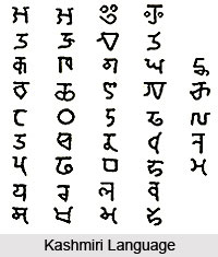 Origin of Kashmiri Language