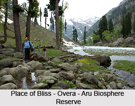 Overa - Aru Biosphere Reserve