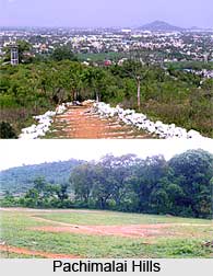 Pachaimalai Hills, Tamil Nadu