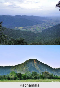 Pachamalai, Tamil Nadu