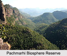 Pachmarhi Biosphere Reserve, Madhya Pradesh