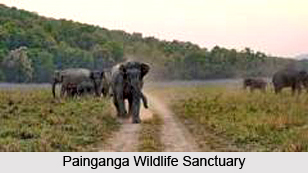 Painganga Wildlife Sanctuary, Yavatmal district, Maharashtra