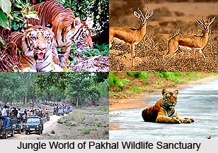 Pakhal Wildlife Sanctuary, Warangal District, Telangana
