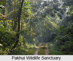 Pakhui Wildlife Sanctuary, Arunachal Pradesh