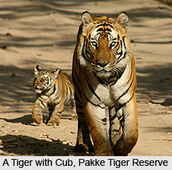 Pakui Wildlife Sanctuary, East Kameng District, Arunachal Pradesh