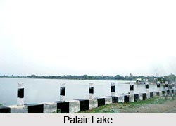 Palair Lake, Khammam District, Telangana