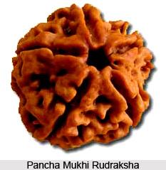 Pancha Mukhi Rudraksha
