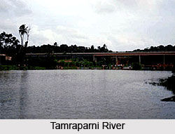 Pandyas, History of South India