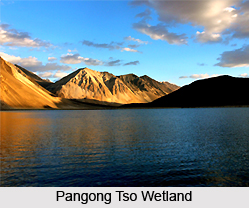 Pangong Tso Wetland Conservation Reserve, Ladakh