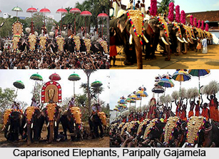 Paripally Gajamela