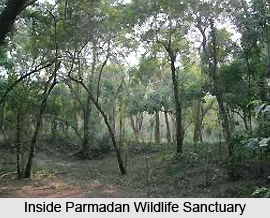 Parmadan Wildlife Sanctuary, West Bengal
