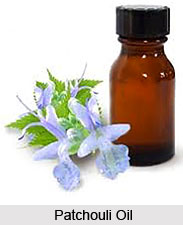 Patchouli Oil