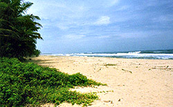 Tourist Places  in and around Kozhikode, Kerala
