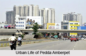 Pedda Amberpet, Ranga Reddy District, Telangana