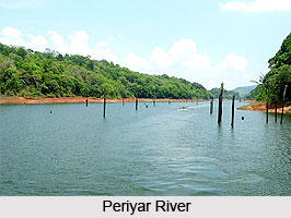 Periyar River