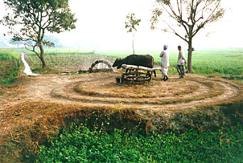 Persian wheel