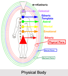 Physical Body, Bodies and Chakras