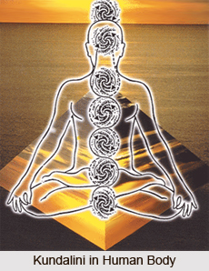 Physical Body in Kundalini