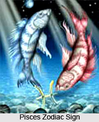 Features of Zodiac Signs