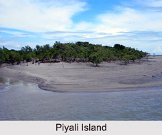 Piyali Island, Sunderbans, West Bengal