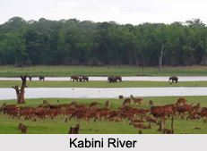 Places of Interest in and around Kabini River