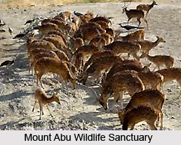Places of Interests in Mount Abu
