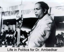 Political Career of B.R. Ambedkar