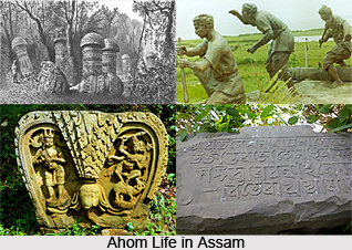 Political Disturbances in Nagaon