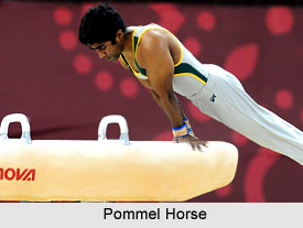 Pommel Horse
