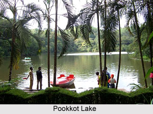 Pookkot Lake, Wayanad, Kerala