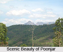 Poonjar, Kottayam District, Kerala