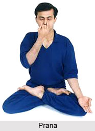 Prana, Ashtanga Yoga