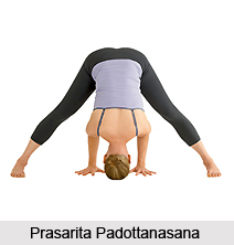 Prasarita Padottanasana
