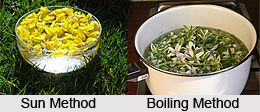 Preparation of Flower Remedies