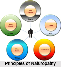 Principles of Naturopathy, Indian Naturopathy