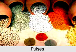 Pulses, Indian Food Crop