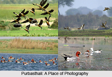 Purbasthali, Bardhaman District, West Bengal