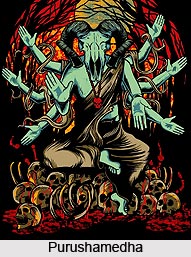 Purushamedha