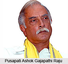 Pusapati Ashok Gajapathi Raju, Minister of Civil Aviation