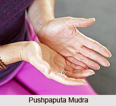 Pushpaputa Mudra