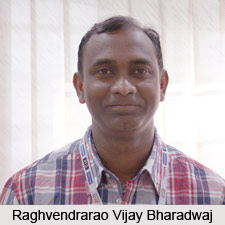 Raghvendrarao Vijay Bharadwaj, Karnataka Cricketer