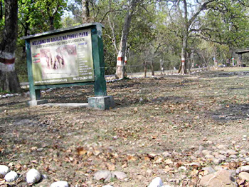 Rajaji National Park