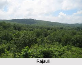 Rajauli, Nawada District, Bihar